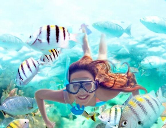 Hurghada: Speedboat Dolphin Watching And Snorkeling Tour