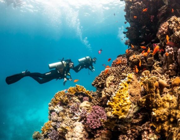 Sharm El Sheikh: Diving Intro Tour 2 Dives With Lunch