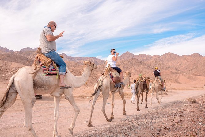 Soma Bay: Star Watching Desert Adventure Trip By Jeep With Dinner