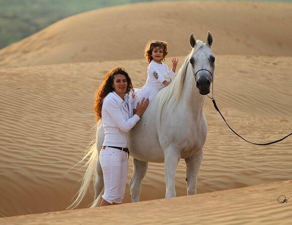 Sharm El Sheikh: 1-Hour Horseback Riding Experience