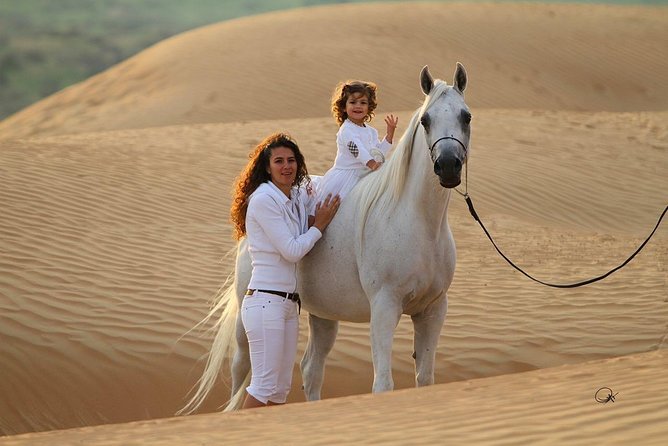 Sharm El Sheikh: 1-Hour Horseback Riding Experience