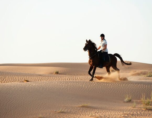 Hurghada: Photography Tour In Desert With Horses