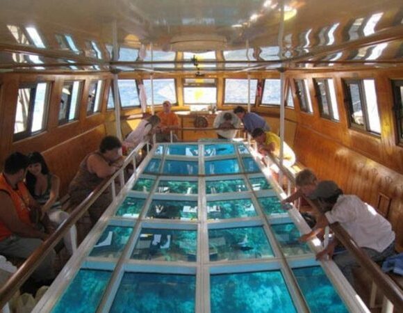 Dahab: Glass Bottom Boat Trip