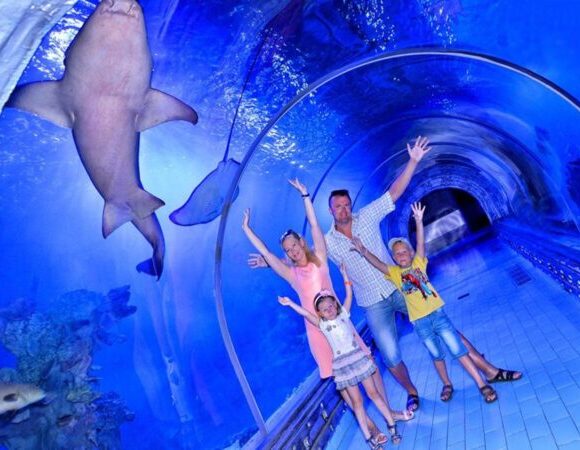 Hurghada: Grand Aquarium Entry Tickets And Transfer