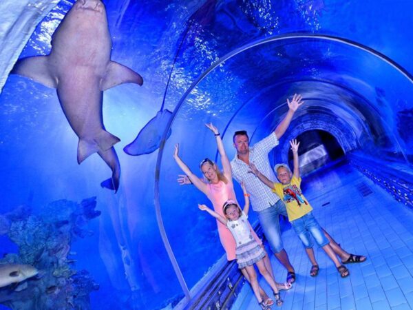 Hurghada: Grand Aquarium Entry Tickets And Transfer