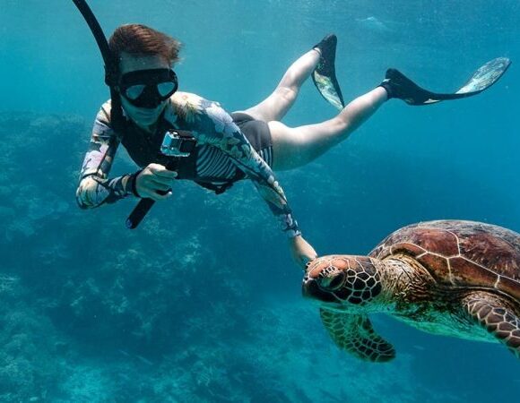 Marsa Alam: Snorkeling Trip With Dugong And Turtles