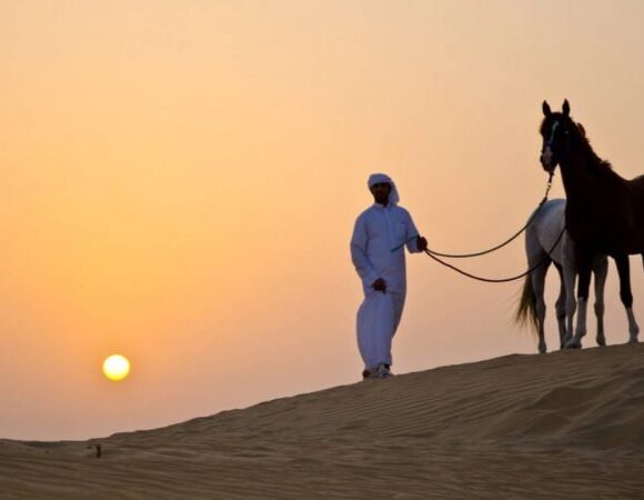 Soma Bay: Horse Riding Private 2 Hours With Guide