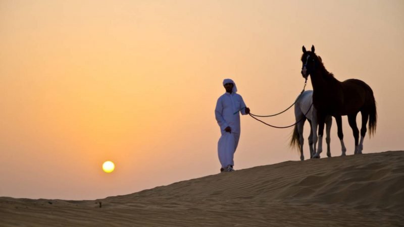 Soma Bay: Horse Riding Private 2 Hours With Guide