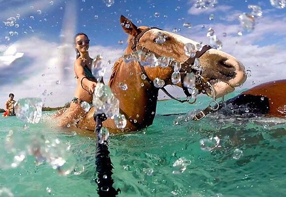 Dahab: Horse Riding