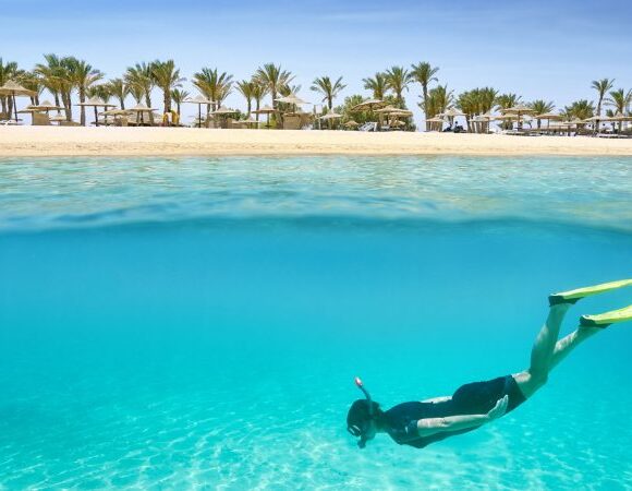 Marsa Alam: The Sataya Reefs – Dolphin House & Boat Tour