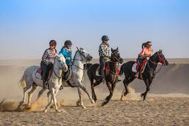 El Gouna: Horse Riding Private 2 Hours With Guide