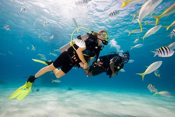 Marsa Alam: Discover Scuba Diving 6-Hour Tour