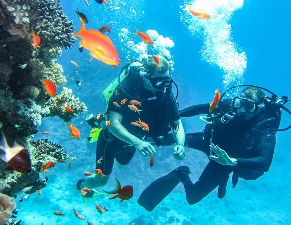 Sharm El Sheikh: Offshore Scuba Diving