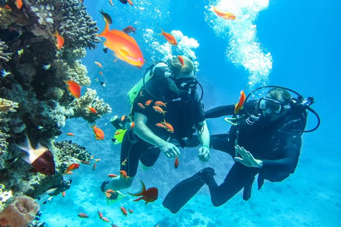 Sharm El Sheikh: Offshore Scuba Diving