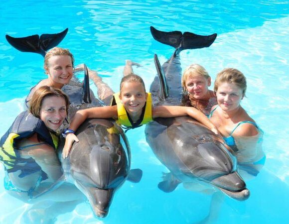 Sharm El Sheikh: Dolphin Swimming Tour