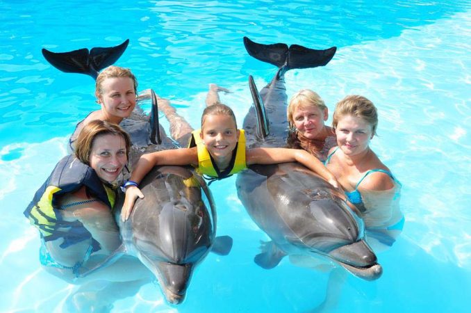 Sharm El Sheikh: Dolphin Swimming Tour