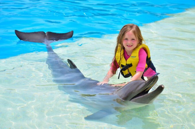 El Gouna: Dolphin World Show