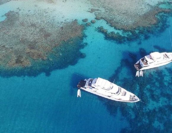 Soma Bay: Fishing Boat Trip With Lunch And Snorkeling