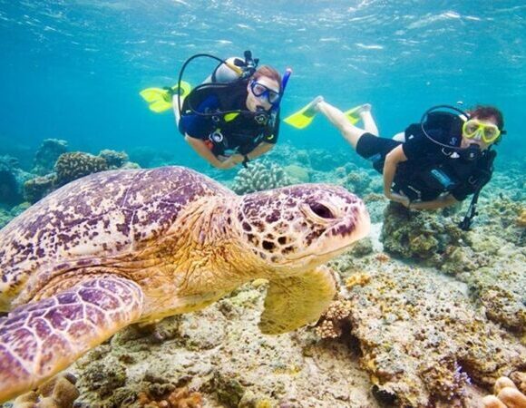 Marsa Alam: Snorkeling And Diving Boat Trip At Coral Garden Reefs