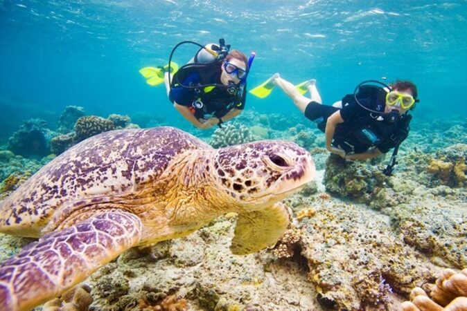 Marsa Alam: Snorkeling And Diving Boat Trip At Coral Garden Reefs