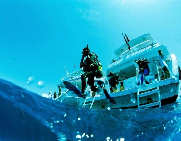 Makady Bay: Diving Course PADI 3 Days With Transfers