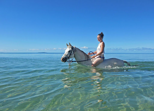 El Gouna: Horse Ridding Along The Sea With Swimming